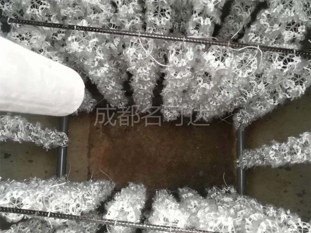 ????????豸003